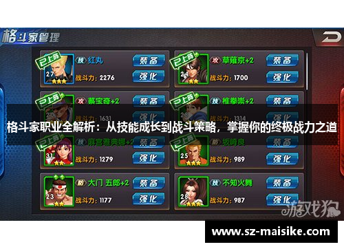 格斗家职业全解析：从技能成长到战斗策略，掌握你的终极战力之道