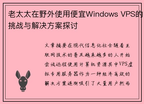 老太太在野外使用便宜Windows VPS的挑战与解决方案探讨